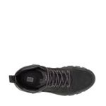Botin-Homnre-Meridan-WP
