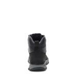 Botin-Homnre-Meridan-WP