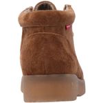 Botin-Sioux--26-29-
