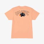 Polera-Hombre-Kamea-Lava-Arch