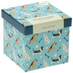 Pack Calcetín Gift Dog