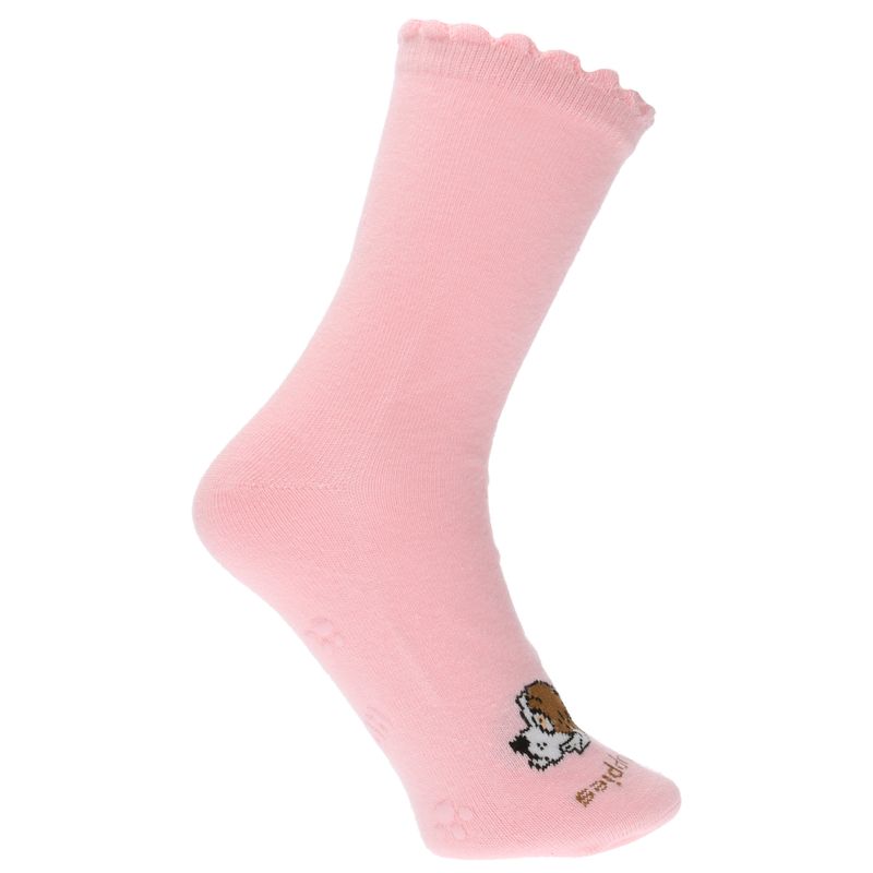 Pack Calcetín St Basic