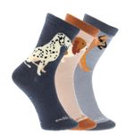 Pack Calcetín Gift Dog