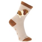 Pack Calcetín Gift Dog