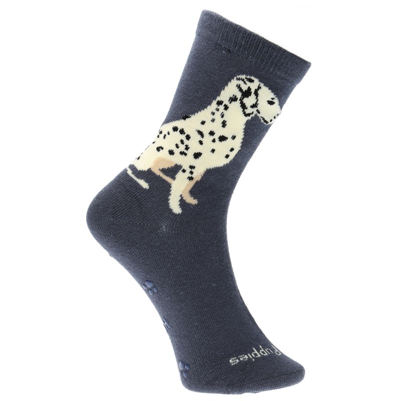 Pack Calcetín Gift Dog