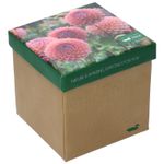 Calcetin-Bambu-Mujer-Pack-Gift-Dal-Multicolor-Rockford