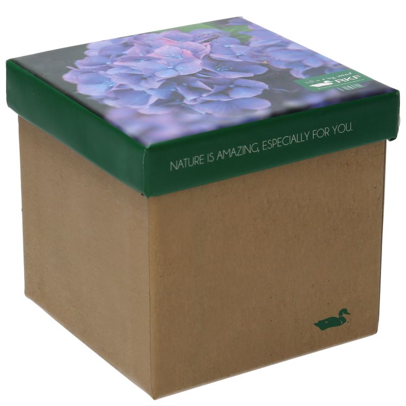 Calcetin-Bambu-Mujer-Pack-Gift-Hor-Multicolor-Rockford