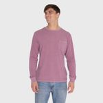 Polera Hombre Ptc Pigment Ls