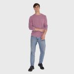 Polera Hombre Ptc Pigment Ls