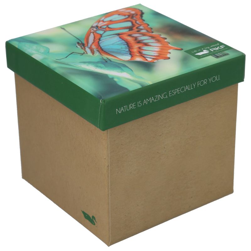 Calcetin-Bambu-Mujer-Pack-Gift-Van-MultiColor-Rockford