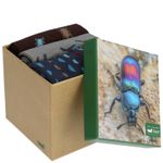 Calcetin-Bambu-Hombre-Pack-Gift-Esc-MultiColor-Rockford
