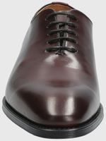 Zapato-Berwick-Cuero-Hombre-Alziro-Cafe