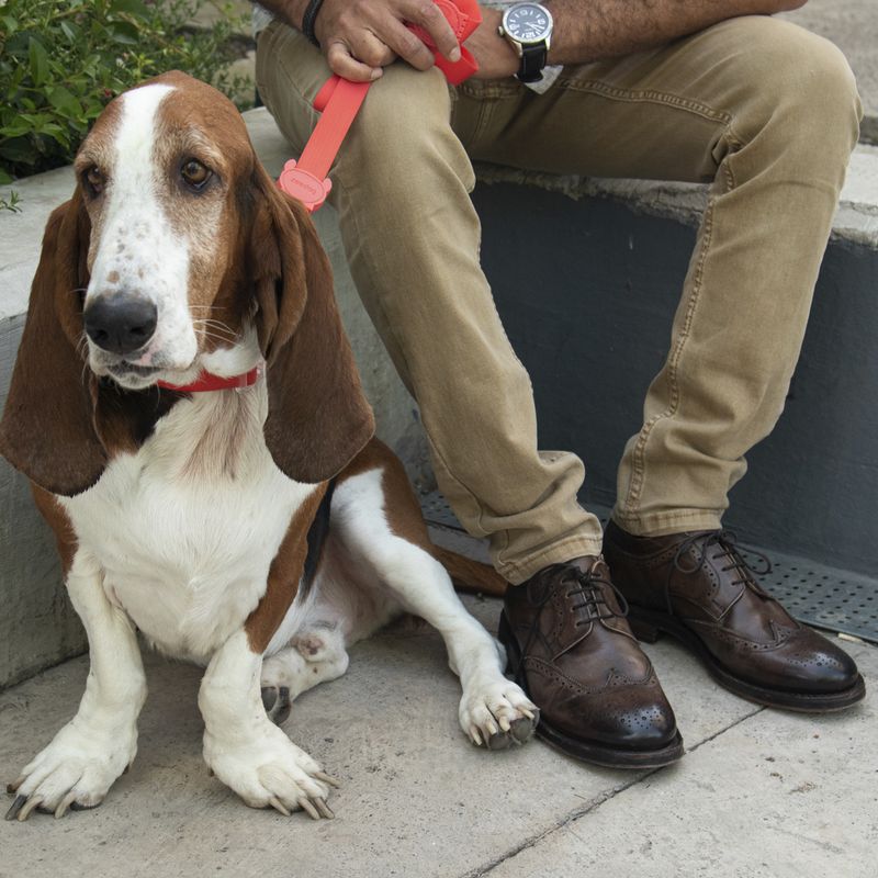 Zapato-Hombre-Bradford