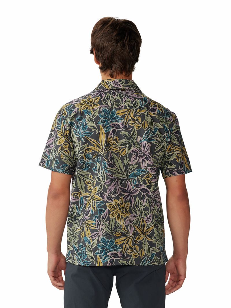 Camisa Manga Corta Hombre Trail Sender Gris Mountain Hardwear