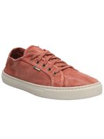 Zapatilla-Algodon-Organico-Hombre-Bronte-Terracota-Rockford