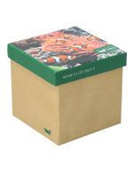 Calcetin-Bambu-Hombre-Packift-Pez-Multicolor-Rockford
