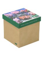 Calcetin-Bambu-Mujer-Packift-Cor-Multicolor-Rockford