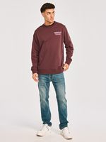 Poleron-Casual-Hombre-GRAPHIC-FRENCH-TERRY-CREWNECK-Burdeo-CAT