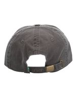 Gorro-Algodon-Unisex-Cap-Labradorris-Rockford