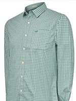 Camisa Algodón Orgánico Hombre Mild Verde Rockford