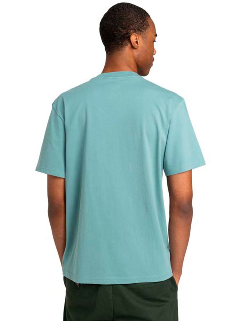 Polera-Manga-Corta-Hombre-Skateboard-Co-Celeste-Element