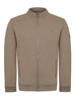 Poleron-Algodon-Organico-Hombre-Orvieto-Gris-Rockford