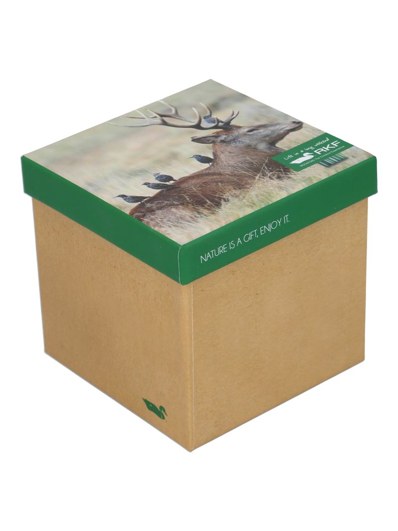 Calcetín Bambú Hombre Pack Gift Sym Multicolor Rockford