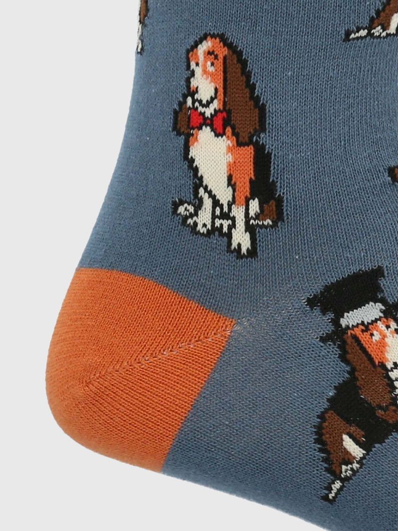 Calcetin-Algodon-Hombre-C-Hat-Basset-Azul-Hush-Puppies