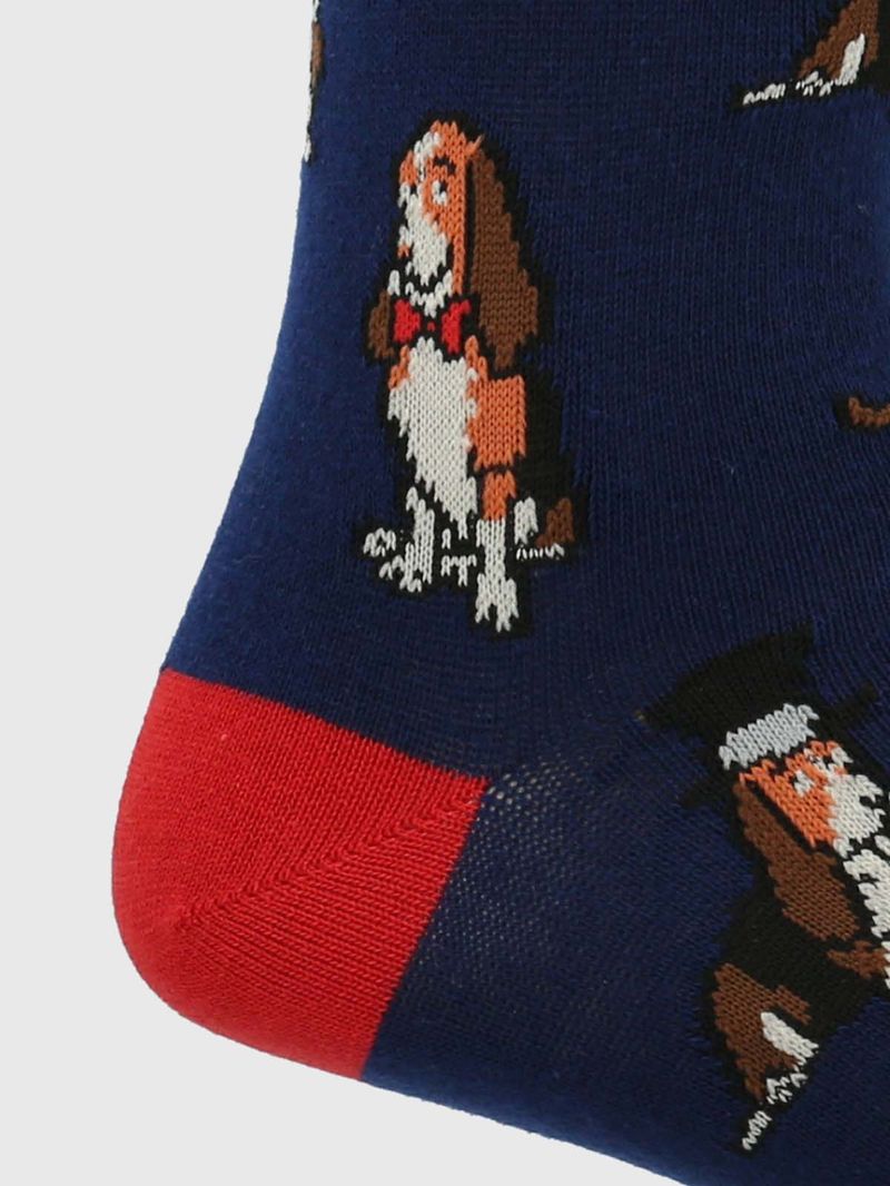 Calcetin-Algodon-Hombre-C-Hat-Basset-Azul-Hush-Puppies