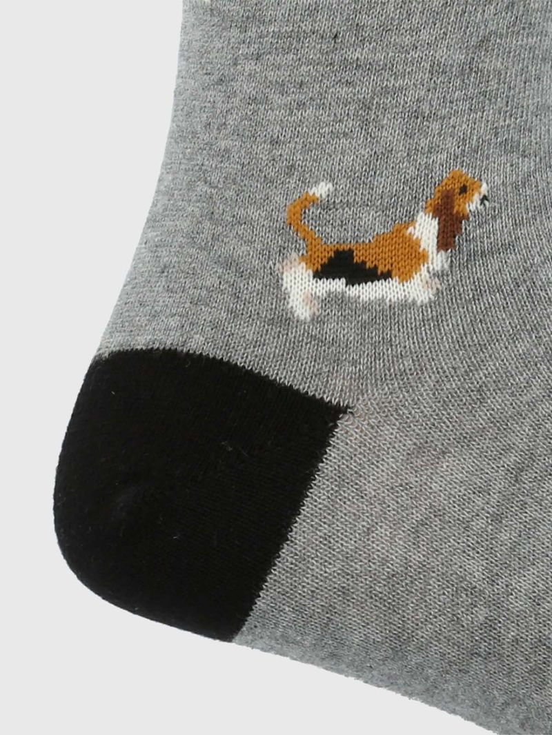 Calcetin-Algodon-Hombre-C-Basset-Gris-Hush-Puppies