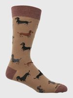 Calcetin-Algodon-Hombre-C-Dachshund-Cafe-Hush-Puppies