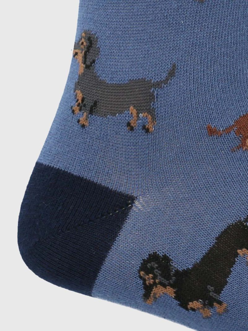 Calcetin-Algodon-Hombre-C-Dachshund-Azul-Hush-Puppies