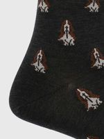 Calcetin-Algodon-Hombre-D-Dogs-Gris-Hush-Puppies