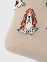 Calcetin-Algodon-Hombre-C-Cowdog-Beige-Crudo-Hush-Puppies