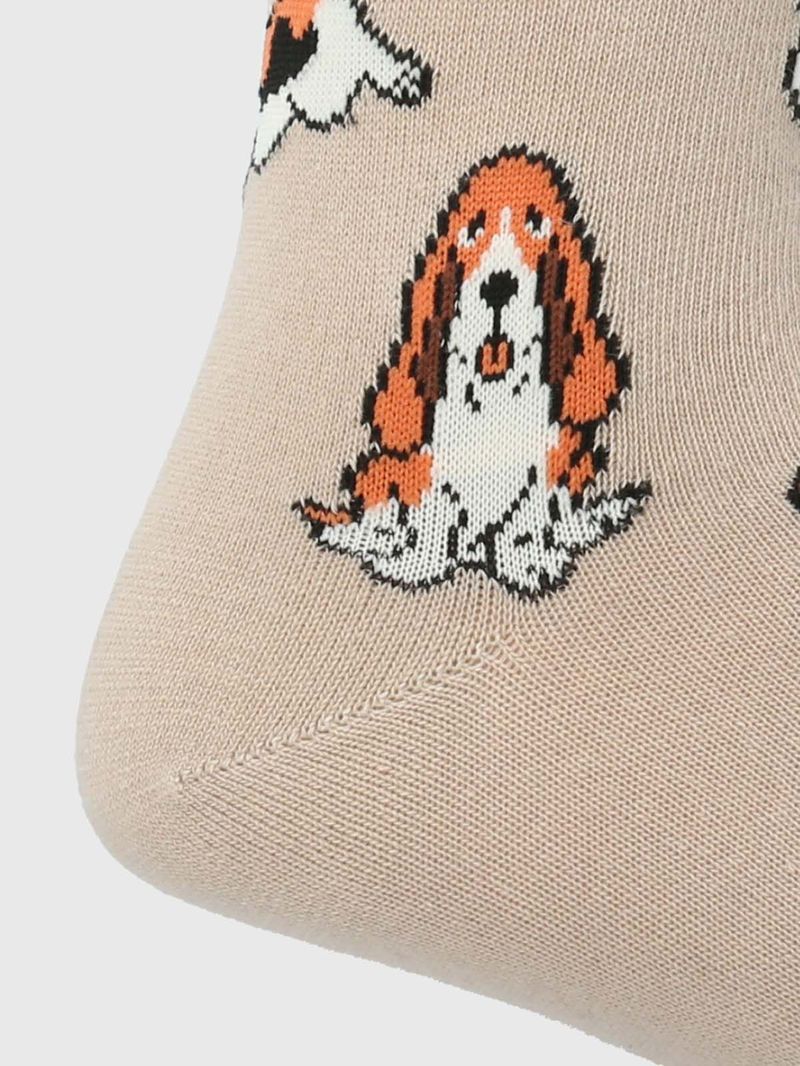Calcetin-Algodon-Hombre-C-Cowdog-Beige-Crudo-Hush-Puppies