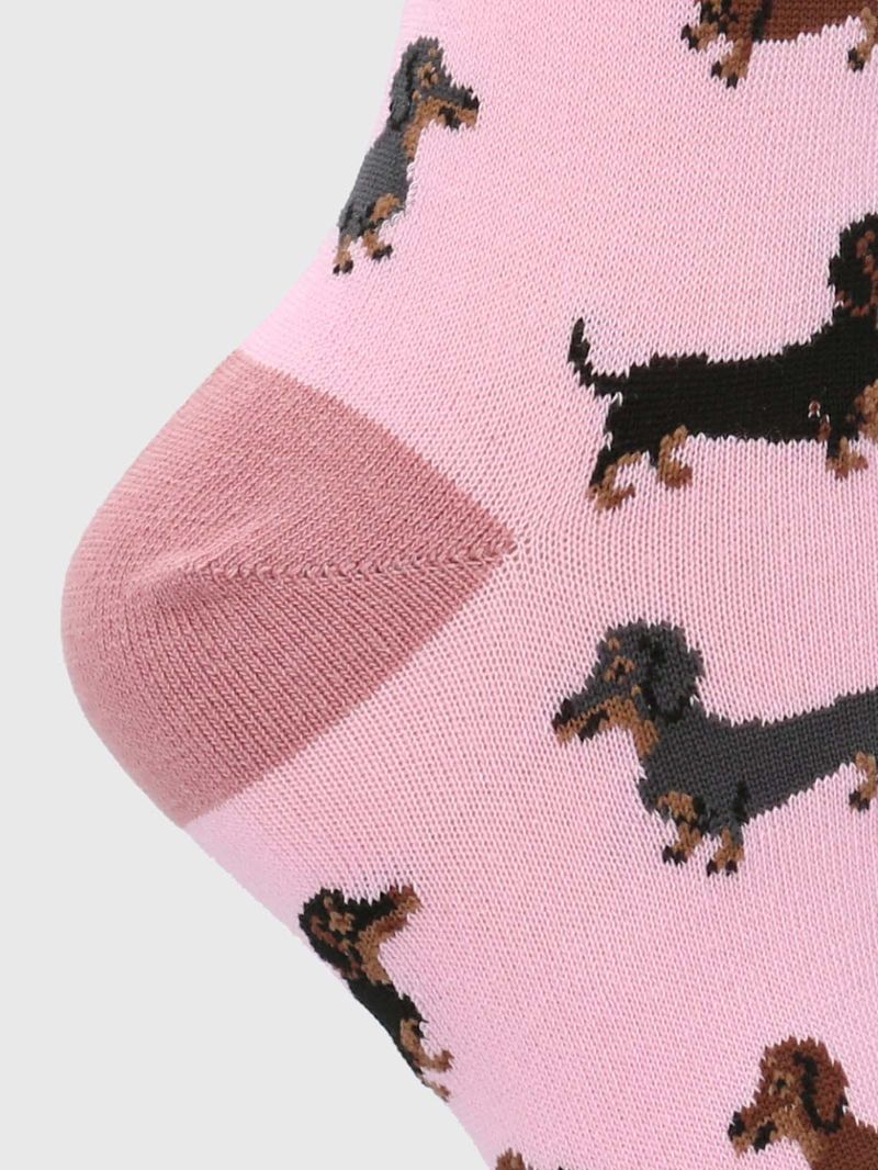 Calcetin-Algodon-Mujer-C-Dachshund-Rosado-Hush-Puppies