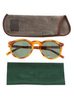 Anteojos De Sol Biodegradable Mujer RKF Brescia Café Rockford