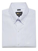 Camisa Cuello Button-Down Hombre Easyiron Celeste Rockford
