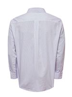 Camisa-Libre-de-Arrugas-Algodon-Hombre-WF-PB-Rockford