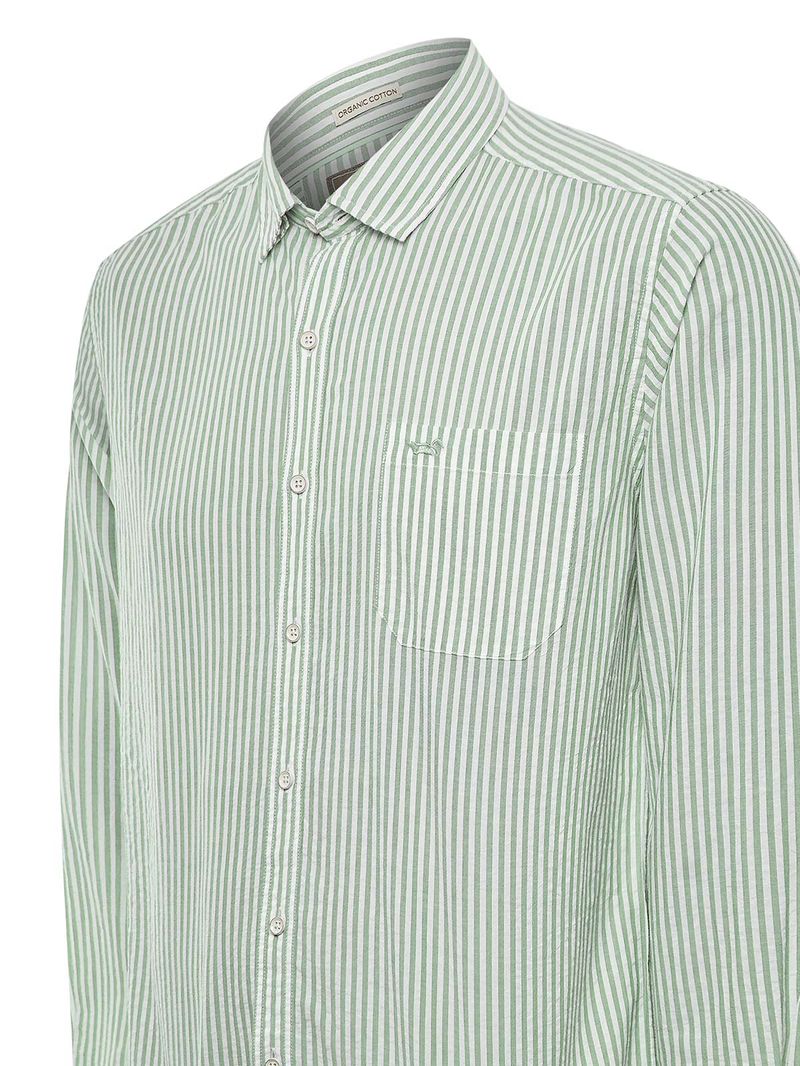 Camisa Algodón Orgánico Hombre Raya Verde Rockford
