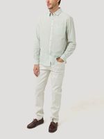 Camisa Algodón Orgánico Hombre Raya Verde Rockford
