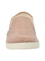 Zapatilla Algodón Orgánico Hombre Ardisia Café Rockford