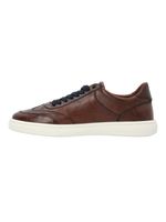 Zapatilla Cuero Hombre Lagos Café Rockford