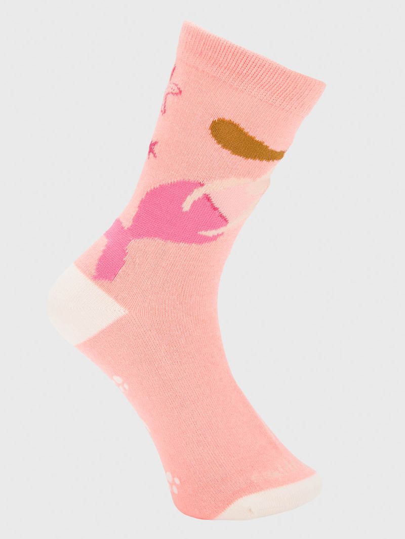 Calcetin Algodón Niña Pack Gift Dive Multicolor Hush Puppies