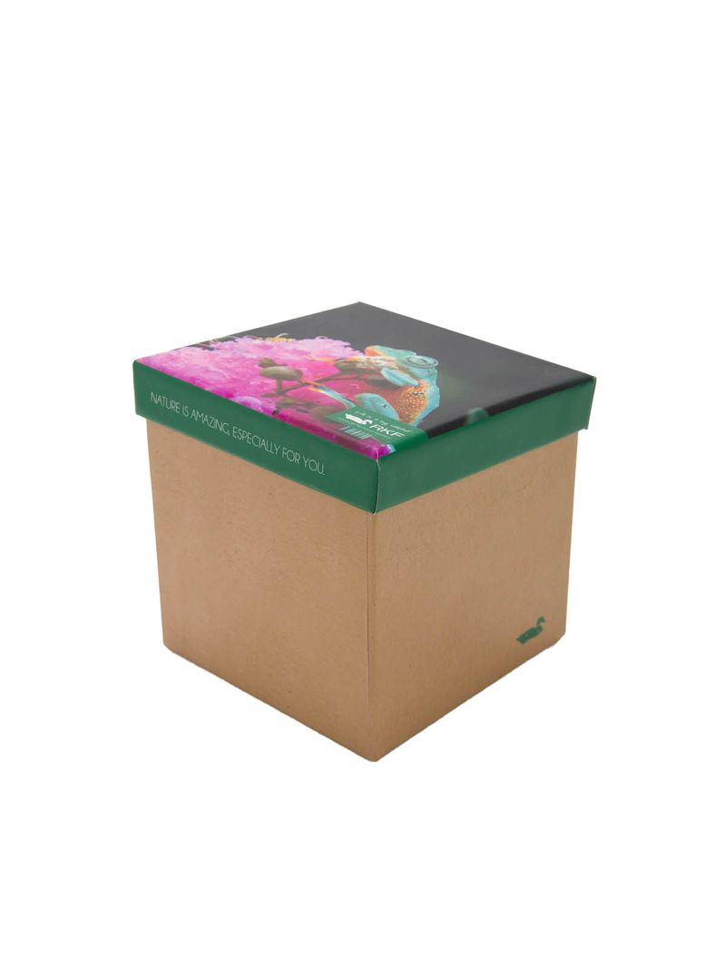 Calcetin Bambú Mujer Pack Gift Fro Multicolor Rockford