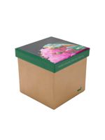 Calcetin Bambú Mujer Pack Gift Fro Multicolor Rockford