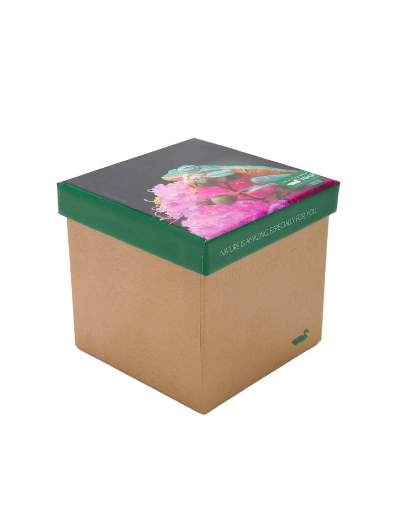 Calcetin Bambú Mujer Pack Gift Fro Multicolor Rockford