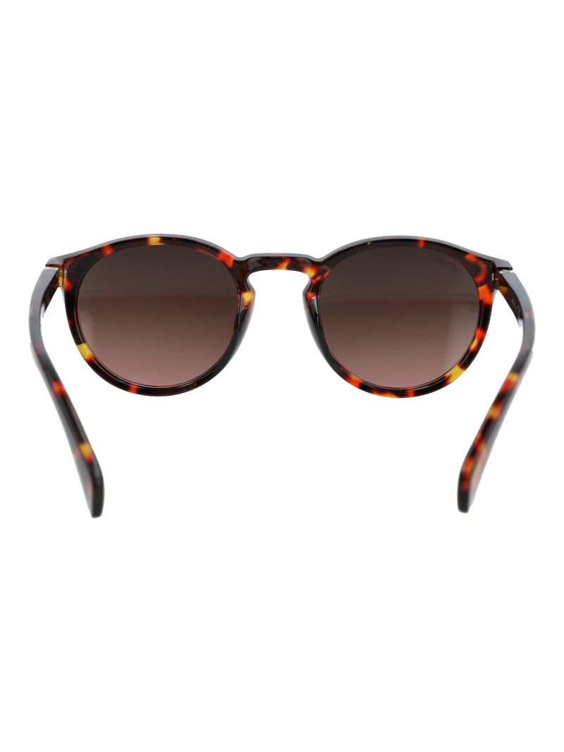 Anteojos Mujer Clark Café Azaleia