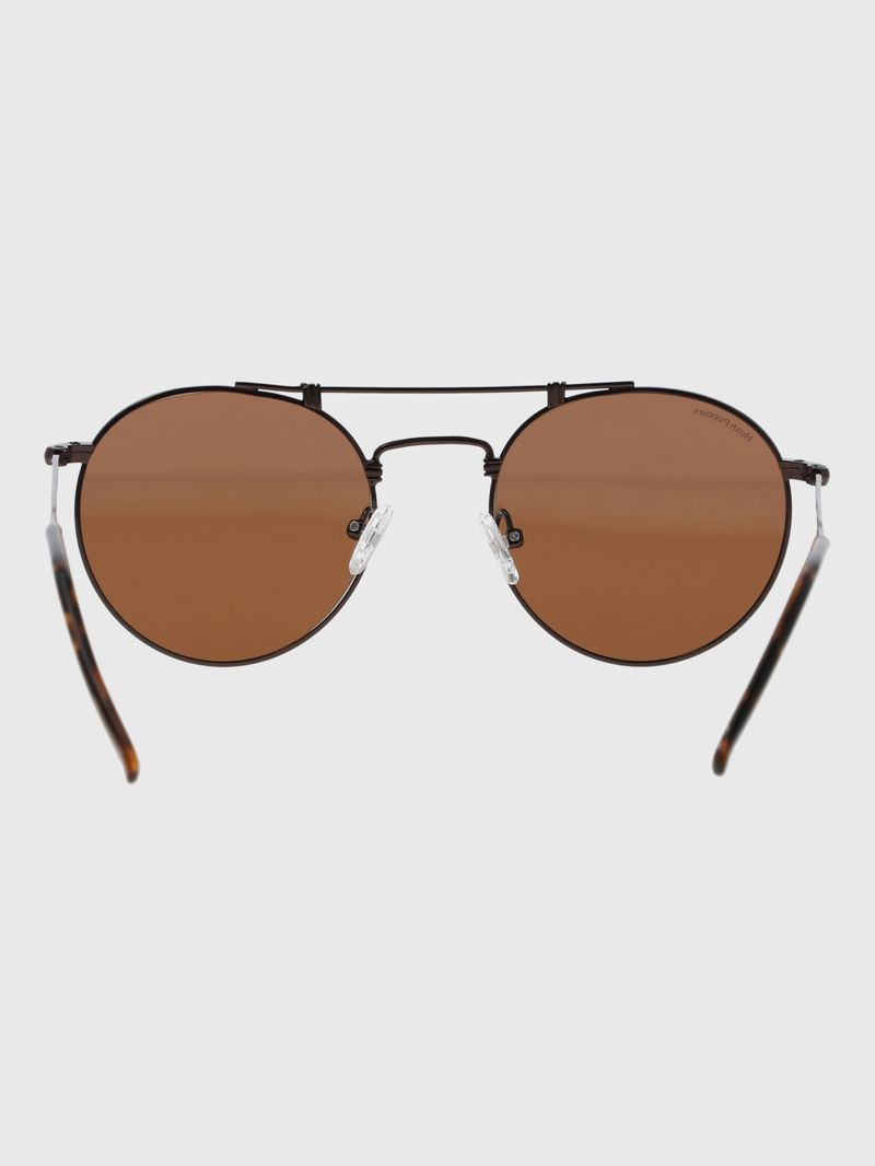 Anteojos Policarbonato Unisex Hp Belfast Glasses Café Hush Puppies