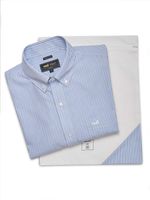 Camisa Algodón Hombre WF PB Azul Rockford